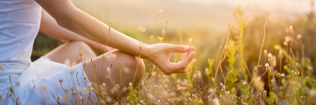 Bachblüten Entspannung Relax Stress Alltag Abschalten Natur